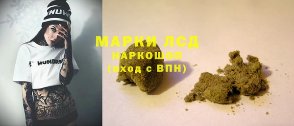 прущие грибы Гусев