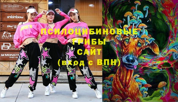 амф Гусиноозёрск