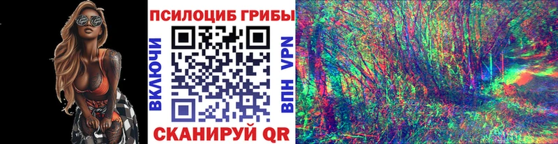 Купить закладки  Рязань  Псилоцибиновые грибы Psilocybine cubensis 